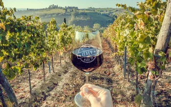 made-in-italy made-in-italy