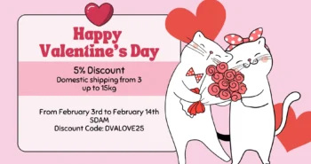 valentines-day-discount-2025